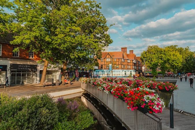seo watford